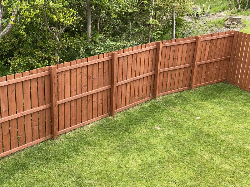 Fenced backyard with fresh paint